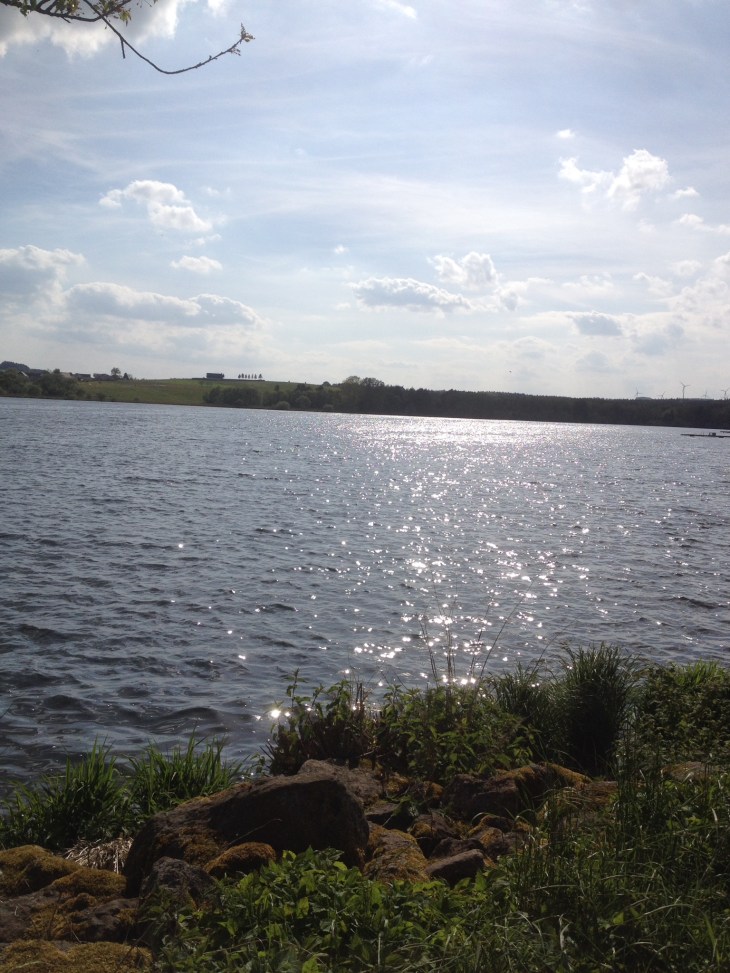 0192308884089bce79f43cc805d5a884e2b90538ab