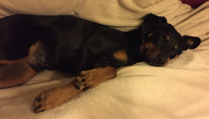 0178dfd12514475e64e4cd1427a992cf726f685ca6