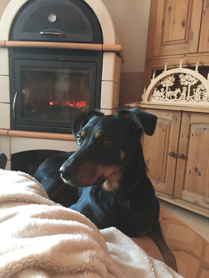 019a63b1eadceb3632928e5269f03ce6ff4a85839c