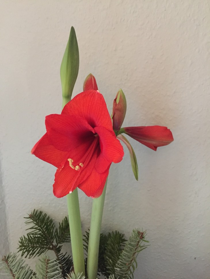 01b9d1fc222971af5dbdea5ad21be639e8ba06353d