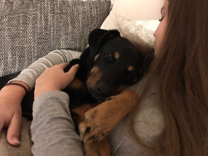 014a8e34e6e0b28b078d9d5243ccbae624301325eb