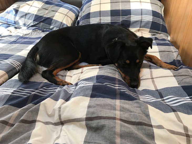 0152f3bab44b6c49a3e4412bf418ccb352ee52c205