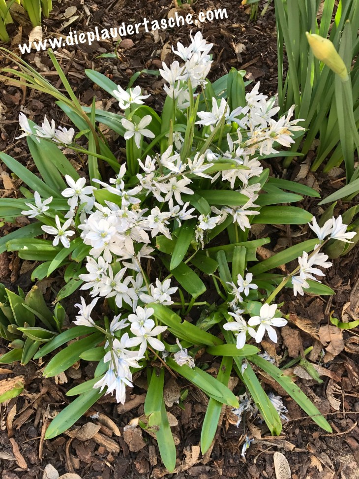 0171f9fba831b85109430cabd81465cd2108c26c23