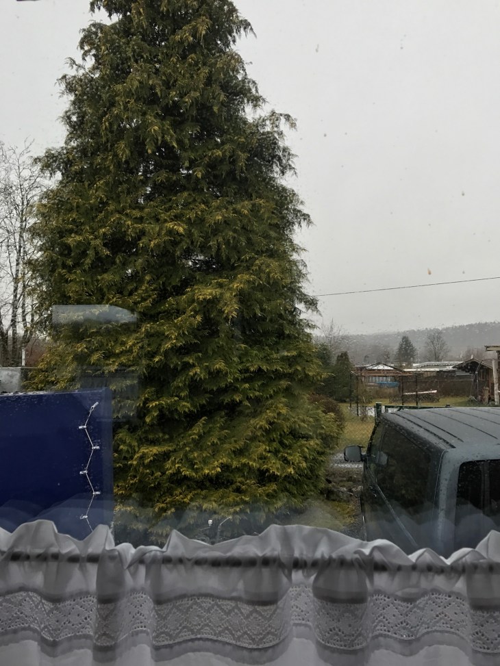 019cfc028b8bf1216e45d2058cf694248892f82858