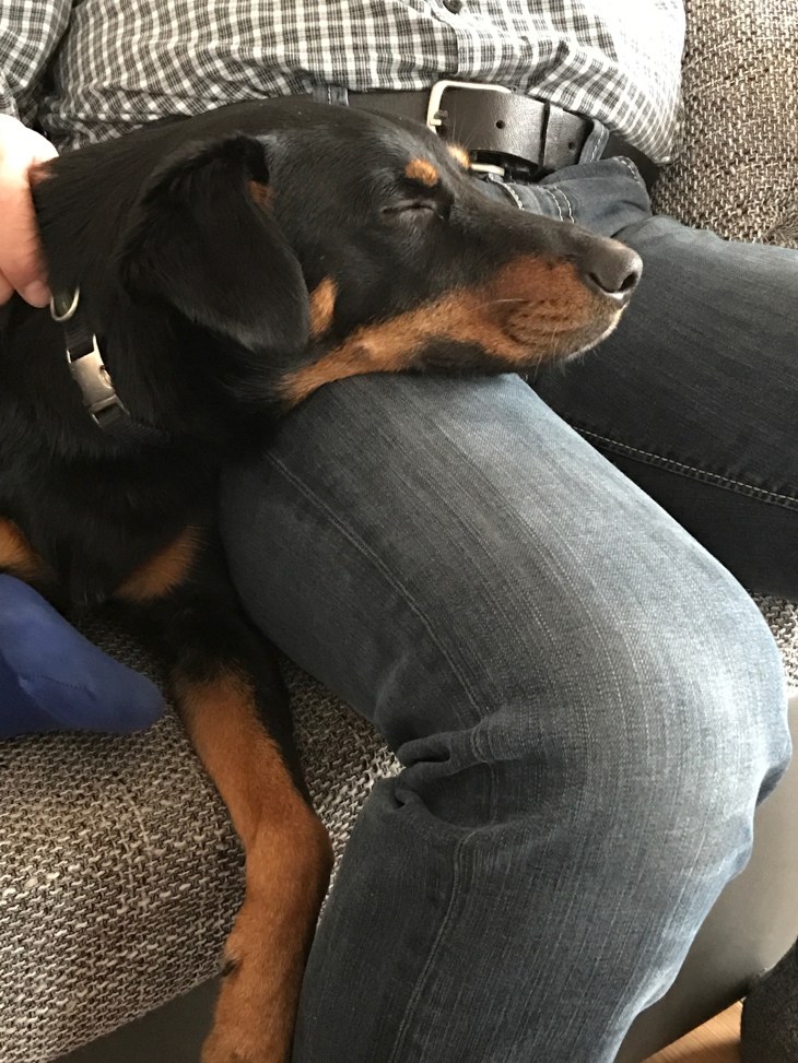 01c7272be50c8a16393384aebd80fe058bd4801156