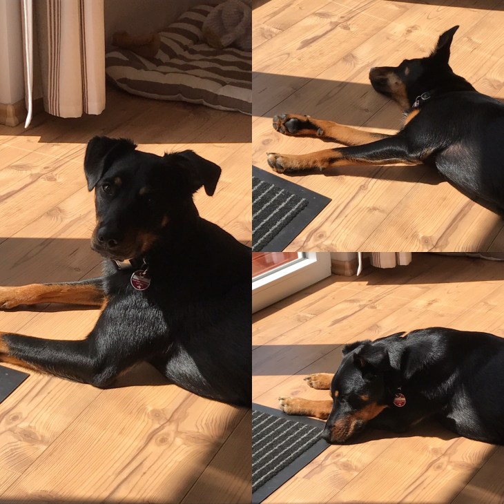 01666eb5fa8a8520f97716b449918d1cf097b7e711