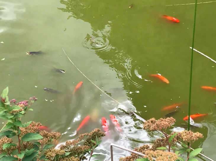 01a7e8e6ad9db880ea30f96226469bbe50a1efe071