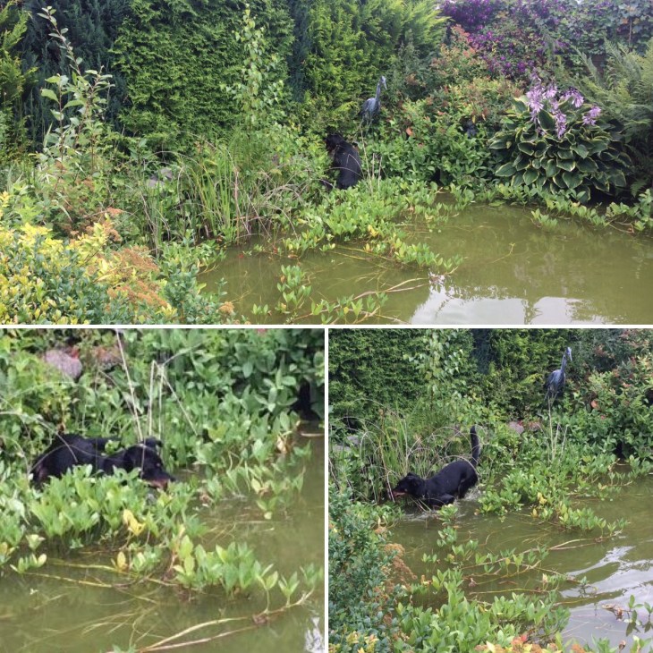 01cf7c745850fd6d57405253869461e31e47a42632