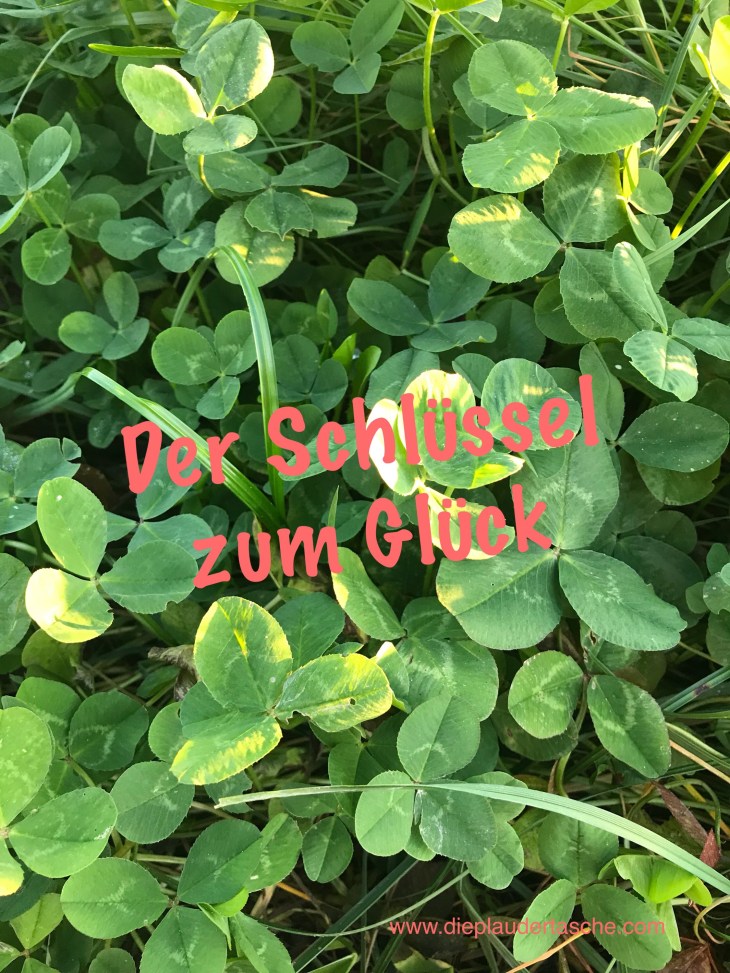 Foto 18.10.17, 21 01 00