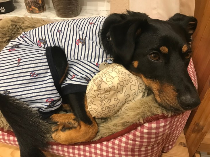 Foto 20.10.17, 19 42 10