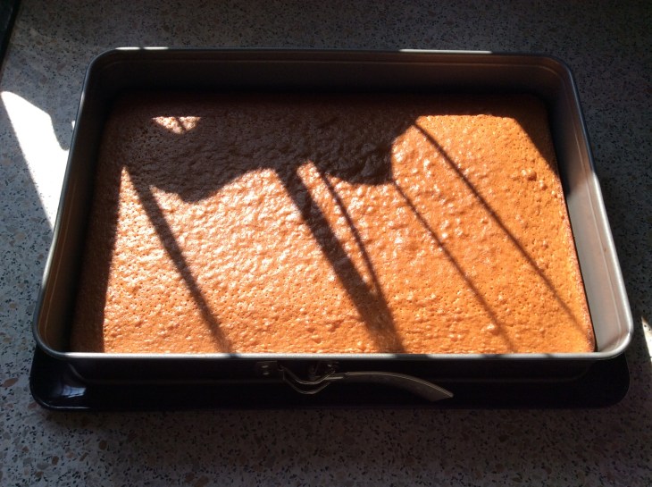 01c3f075fda18b45142de7c286bf1213d924f680de