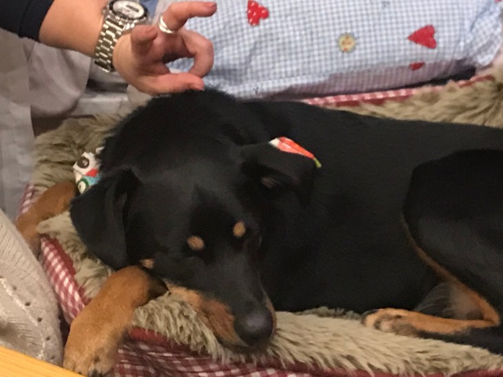 01ae2da1124dfea581c929dfd92d50f5dd97a2d203