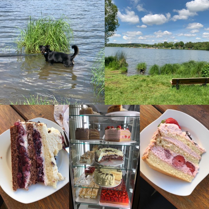 0121e228d8aa0b7b1a8d02dfdbda5d2c37acf3b85b