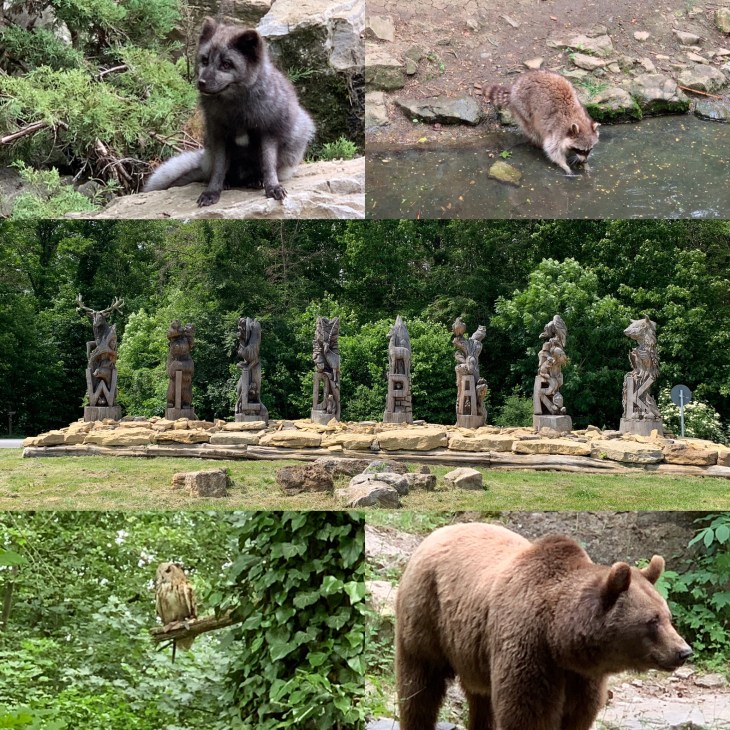 0140bf721bd646b8f667c40887c5e944fe4469ac04_00001