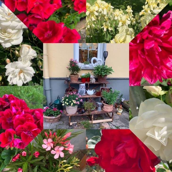 01afc8525305c7aa8ff6c26cb6ea909e6f4e789c8b