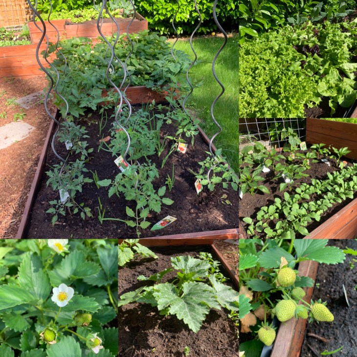 01fbba412b3594208a005f6191876160f89a2669cf